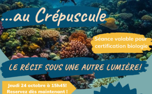 Plongée crépusculaire!