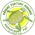 membre réseau tortues marines guadeloupe membre réseau tortues marines guadeloupe